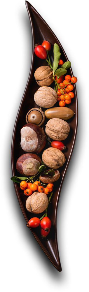 Catering Services in Borivali