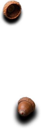 Catering Services in Borivali