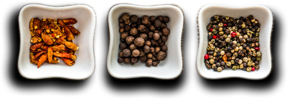 Catering Services in Borivali